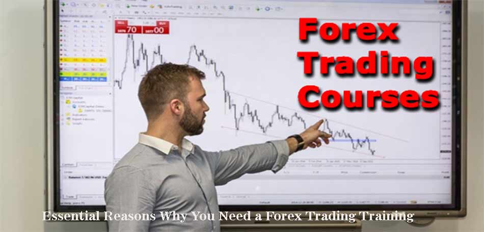 Essential Reasons Why You Need a Forex Trading Training -Viraldigimedia