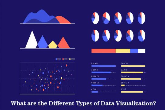 What are the Different Types of Data Visualization? - Viraldigimedia