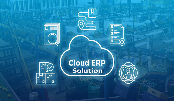 How Do Cloud ERP Solutions Work for the Retail and Fashion Industry?