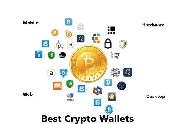 Best Crypto Wallet