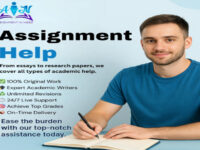 Real ROI of Assignment Help